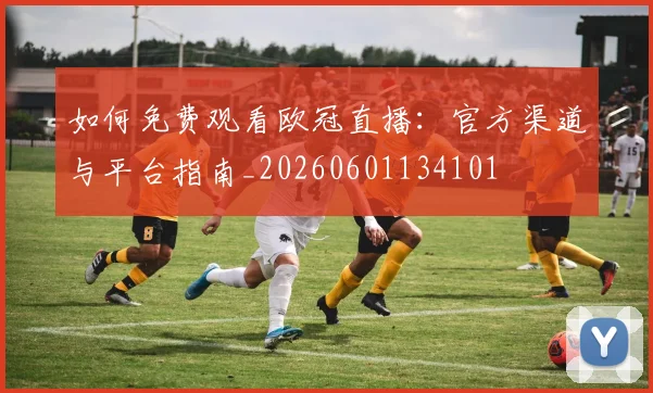 如何免费观看欧冠直播：官方渠道与平台指南_20260601134101
